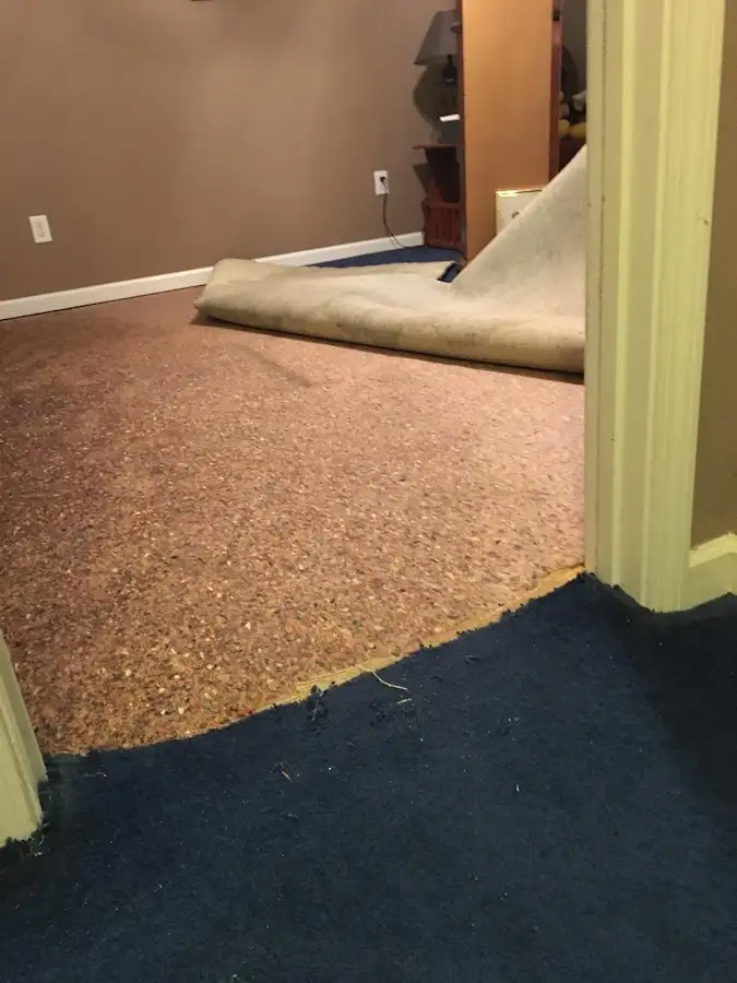Carpet pad removal revealing water damage during Drying & Dehumidification in Altamont
