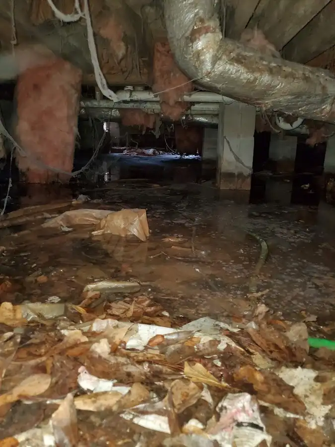 Crawl space flood assessment for Leak Detection & Repair in Altamont