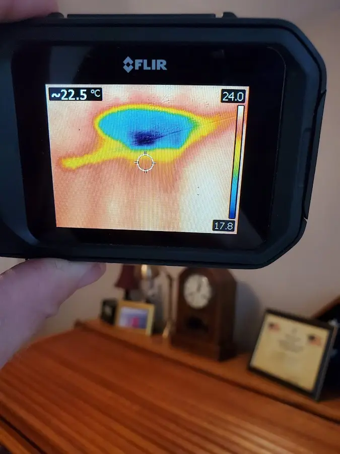 Thermal imaging inspection for water damage in Altamont
